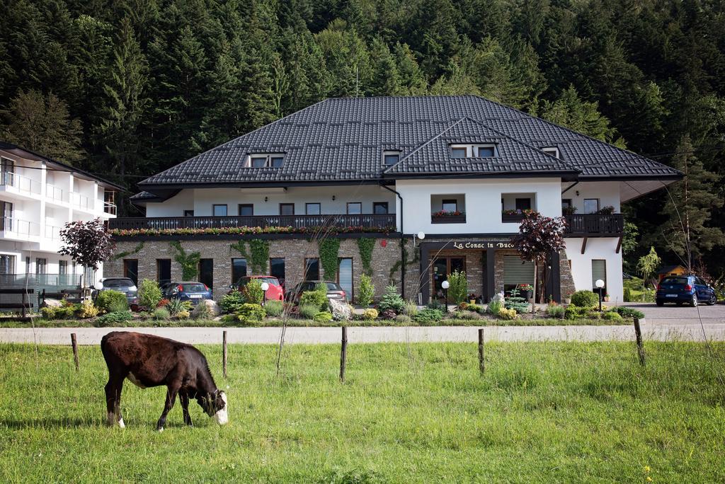 La Conac In Bucovina Hotell Gura Humorului Exteriör bild